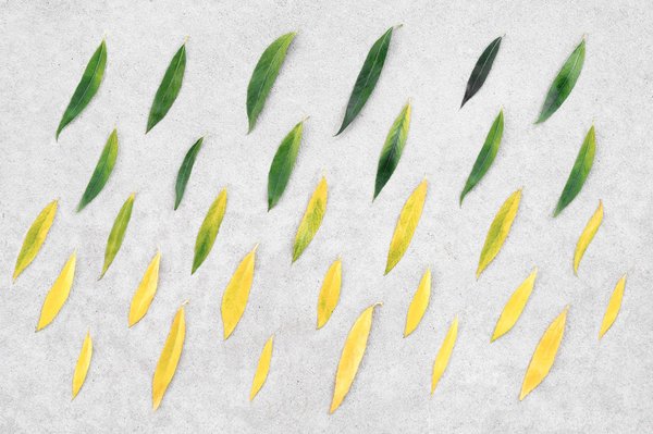 comment les services de déménagement peuvent faciliter votre transition d'entreprise