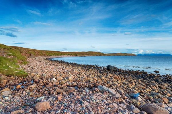 Étiquette miel : Un guide complet pour une présentation raffinée de votre trésor doré